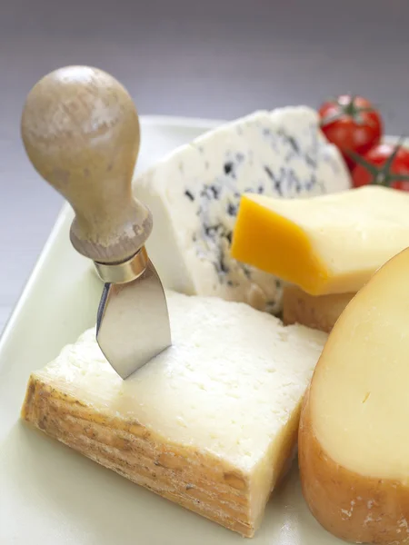 Variedade de queijo no prato — Fotografia de Stock