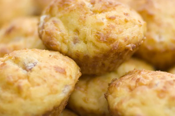 Heerlijke kaas muffins — Stockfoto
