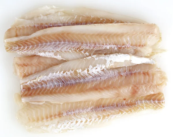 Fischfilets auf weiß — Stockfoto