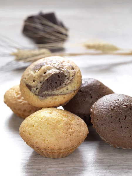 Vers gebakken muffins — Stockfoto