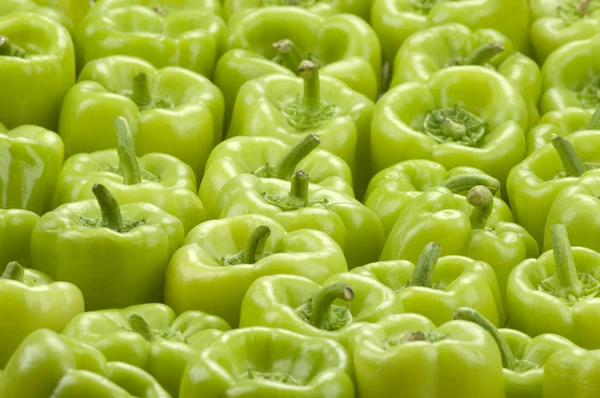 Zelené papriky (horizontální) — Stock fotografie
