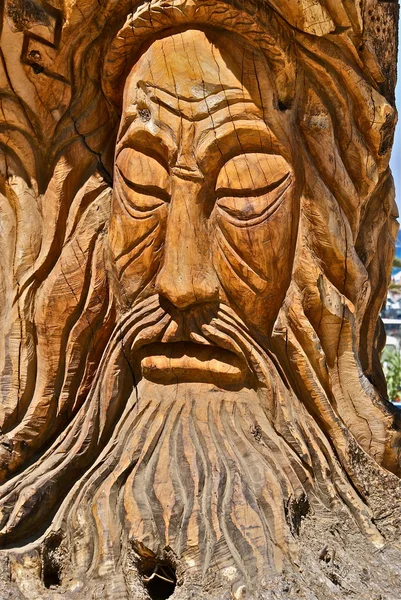 stock image Woodface