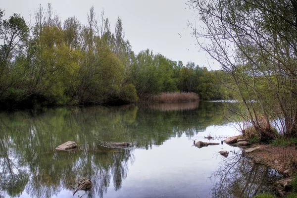 stock image River reflections