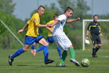 Kaposvar - siofok altında 16 futbol oyunu