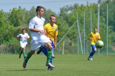 Kaposvar - siofok altında 16 futbol oyunu