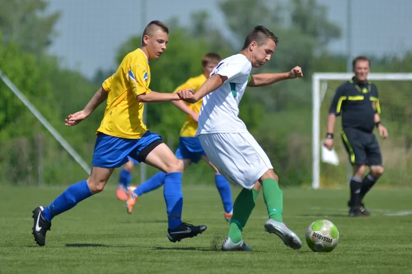 Kaposvar - Шиофок під 16 футбольного матчу — стокове фото