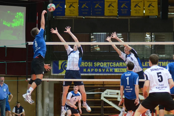 Kaposvar - Kazincbarcika jeu de volley-ball — Photo