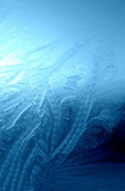 Frost pattern on window, Ice 