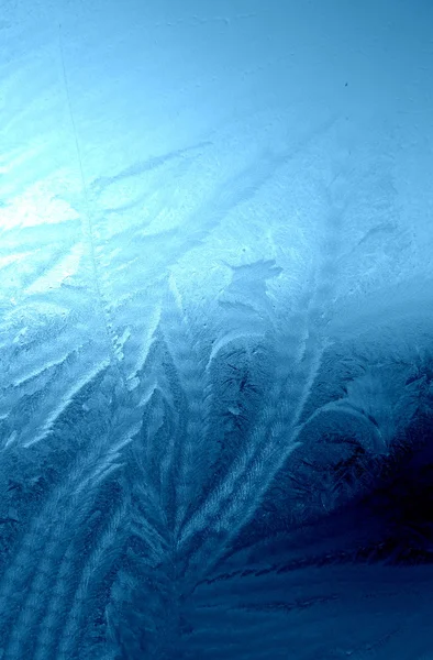 Vorst patroon op venster, ijs "algen" — Stockfoto