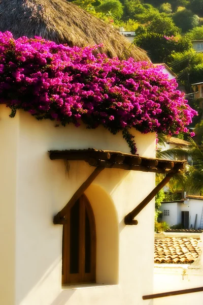 stock image building with flowers