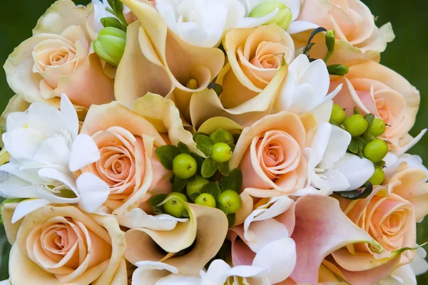 Şeftali renkli güller — Stok fotoğraf