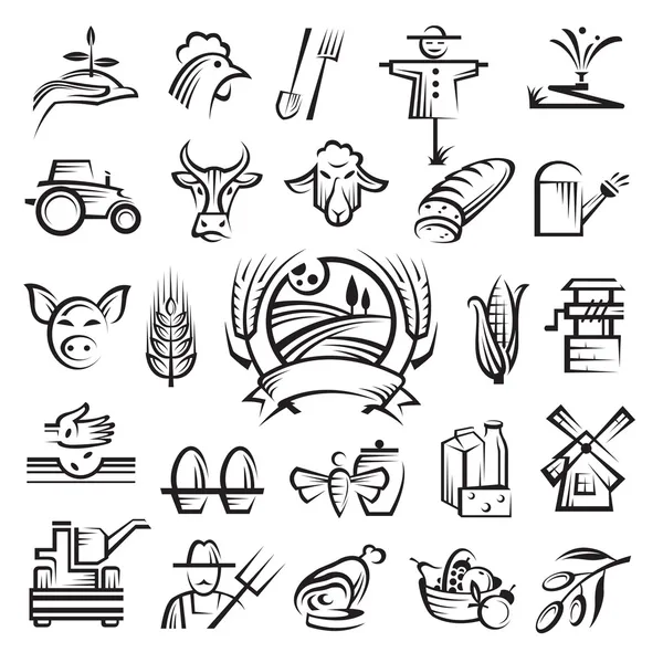 Iconos de agricultura y agricultura — Vector de stock