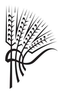 Ear of wheat clipart