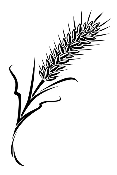 Épi de blé — Image vectorielle