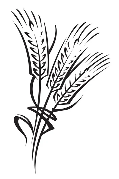 Spiga di grano — Vettoriale Stock