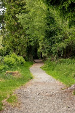 Wicklow County