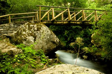 Sant Maurici National Park. clipart