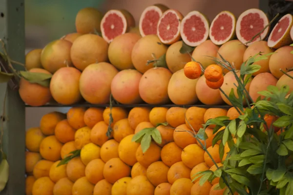 Frukt monter. — Stockfoto