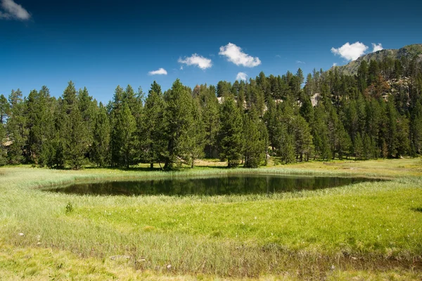 stock image Landscape in wild nature with lake.