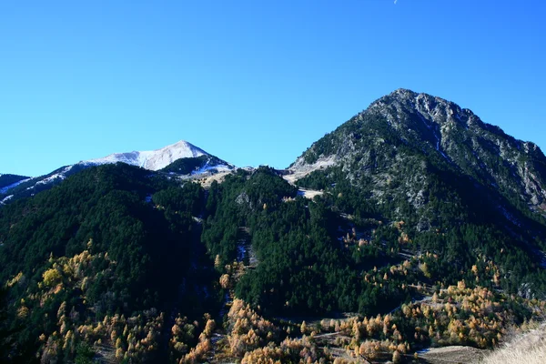青い空と雪に覆われた山 ストックフォト