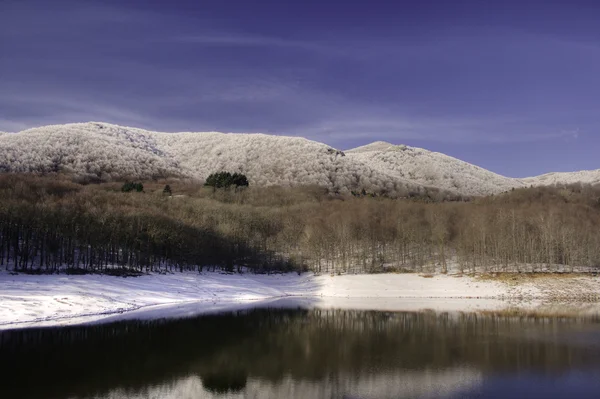 反射と雪の風景 ロイヤリティフリーのストック写真