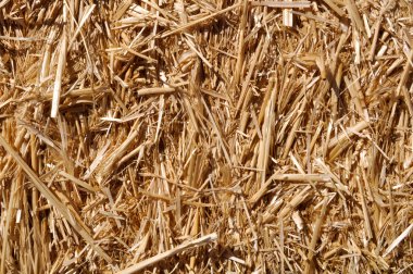 Straw Background clipart