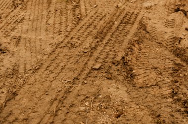 Truck Tire Tracks in Mud clipart