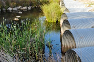 Drainage Pipes flowing into Green Pond clipart