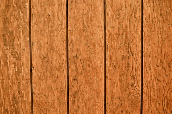Fond de planche en bois — Photo