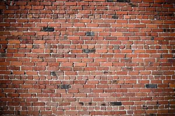 Grunge oude bakstenen muur — Stockfoto