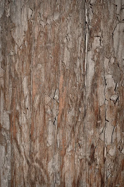 Fundo de madeira Grunge texturizado — Fotografia de Stock