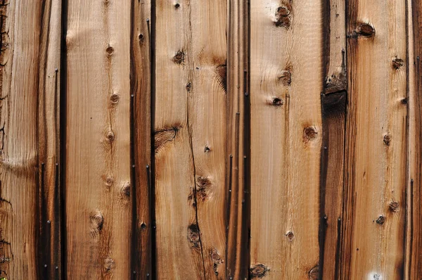 Kvistig furu trä bakgrund — Stockfoto