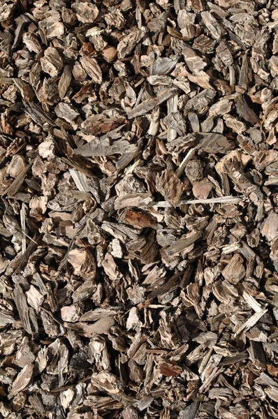 Landscape Brown Bark Background — Stock Photo, Image