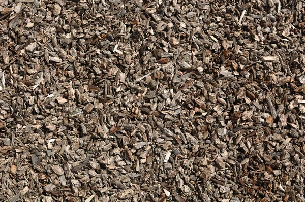 Liggande brun bark bakgrund — Stockfoto