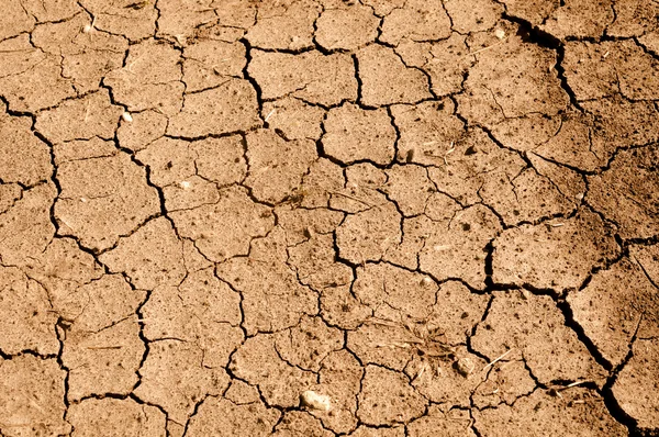 Tan spruckna marken kan smuts och lera — Stockfoto