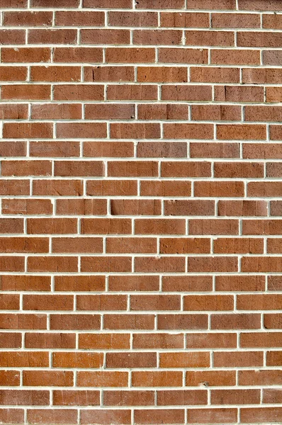 Fundo de parede de tijolo vertical — Fotografia de Stock