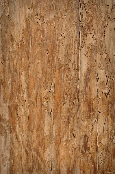 Strukturierte Holz Hintergrund — Stockfoto