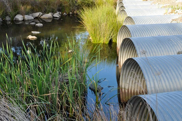 Abflussrohre fließen in grünen Teich — Stockfoto