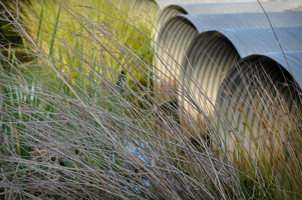 Tubi di drenaggio che scorrono nello stagno verde — Foto Stock
