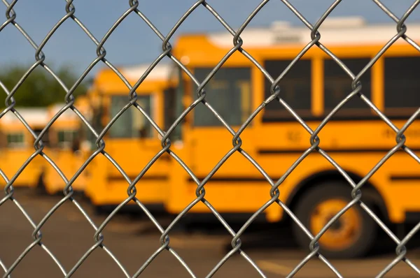 Multiple School Bus with Blue Sky — Stock Photo, Image