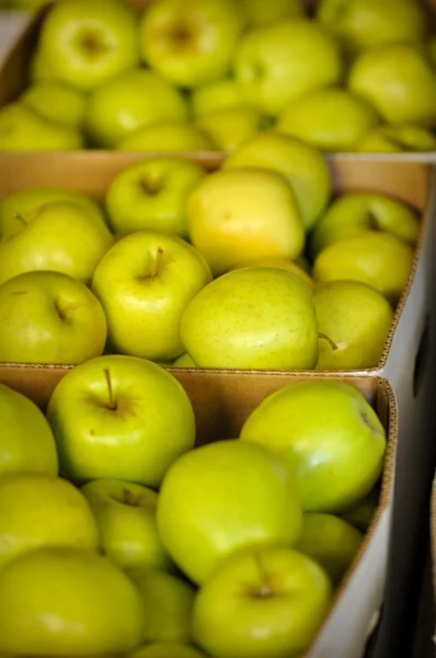 Box Apples — Stock Photo, Image