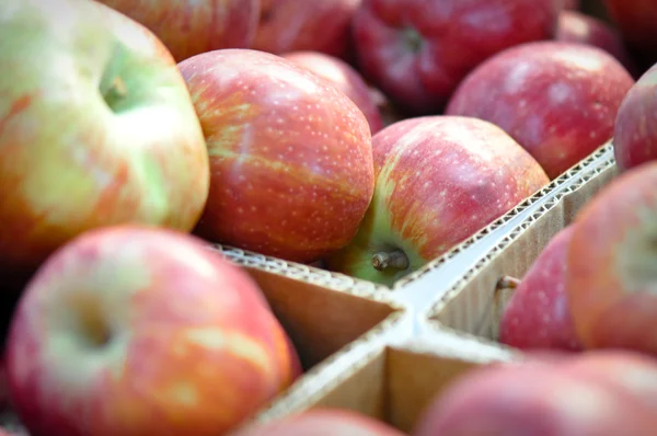 Box Apples — Stock Photo, Image