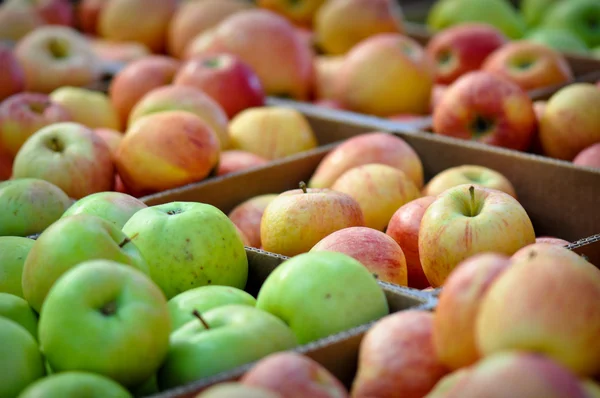 Caja de manzanas — Foto de Stock