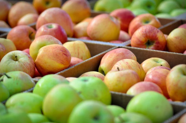 Caja de manzanas — Foto de Stock