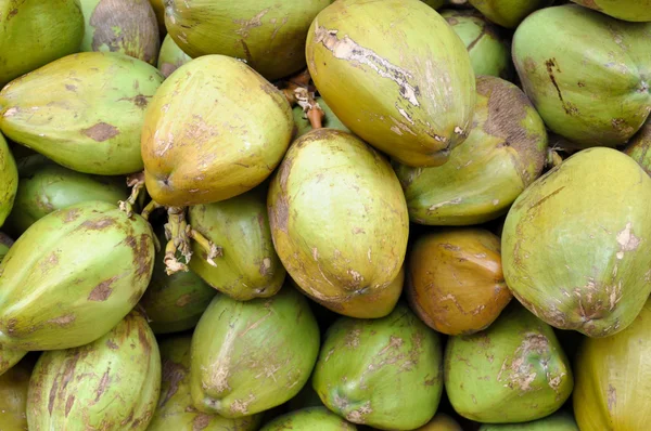 Kokosové ořechy na prodej — Stock fotografie