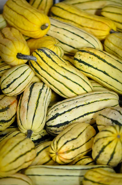 Gourds for Sale at the Produce MArket — Stock Photo, Image