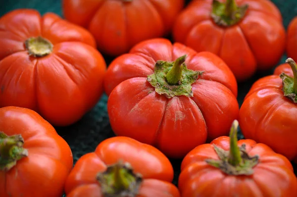 Organiczny pomidor — Zdjęcie stockowe