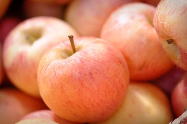 Red Apple Close Up — Stock Photo, Image