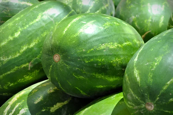 stock image Watermelons