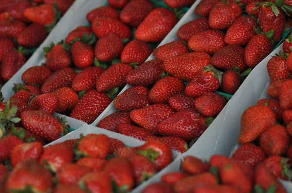 stock image Strawberries